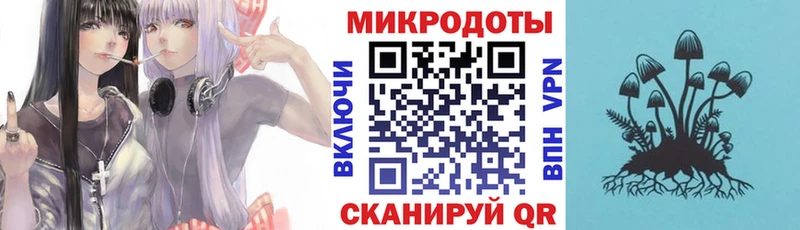 где найти   Балахна  Галлюциногенные грибы мухоморы 