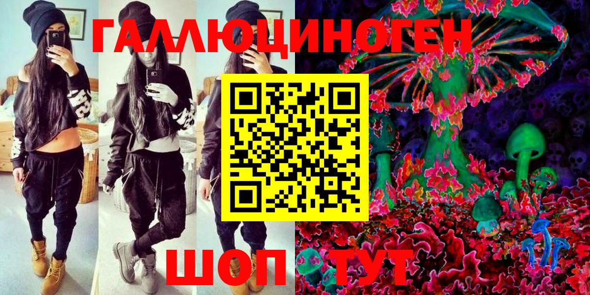 Псилоцибиновые грибы Cubensis Балахна