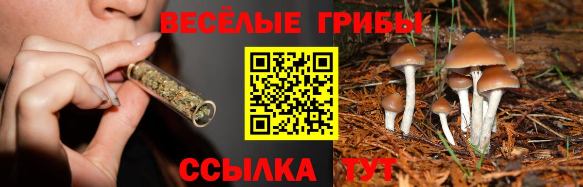 Галлюциногенные грибы Cubensis  Галлюциногенные грибы Cubensis  Вход с VPN  Балахна 