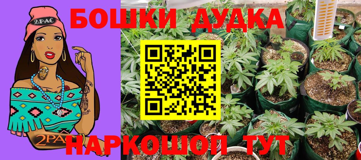 Бошки марихуана OG Kush  Бошки марихуана гибрид  Вход с VPN  Балахна  Бошки Шишки марихуана 